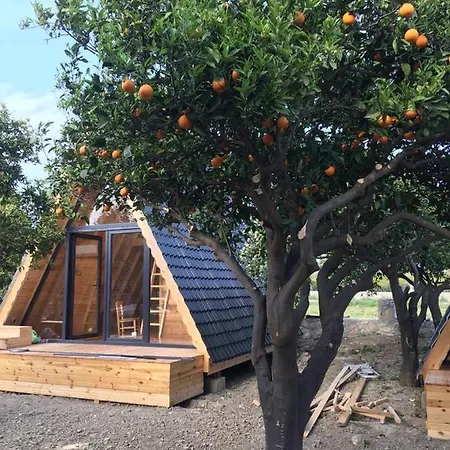 Oda ve Kahvaltı Limon Datca Datça