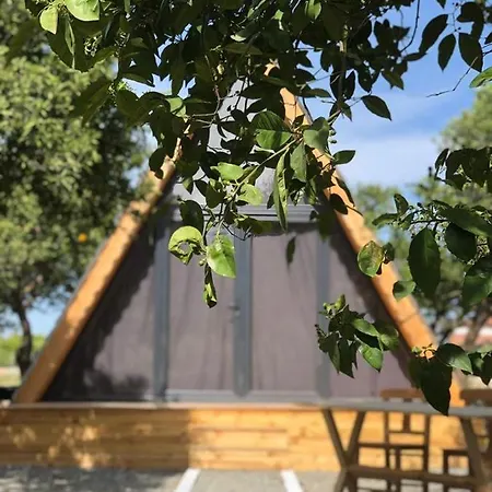 Limon Datca * דטקה