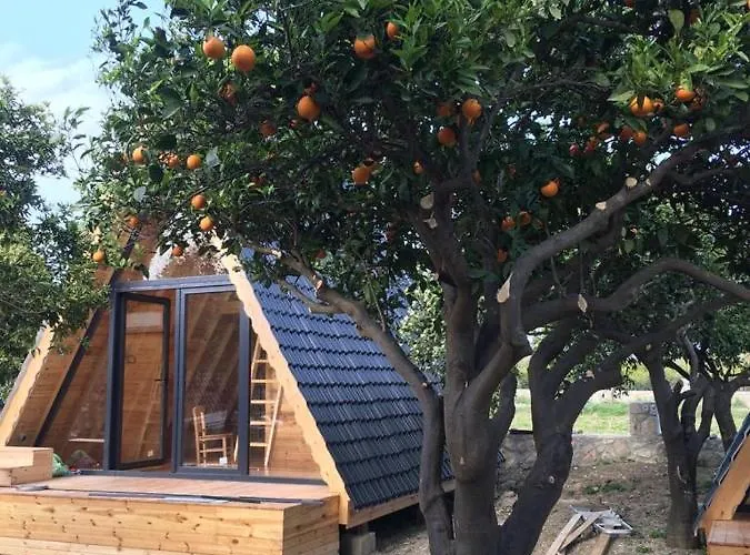 Oda ve Kahvaltı Limon Datca Datça